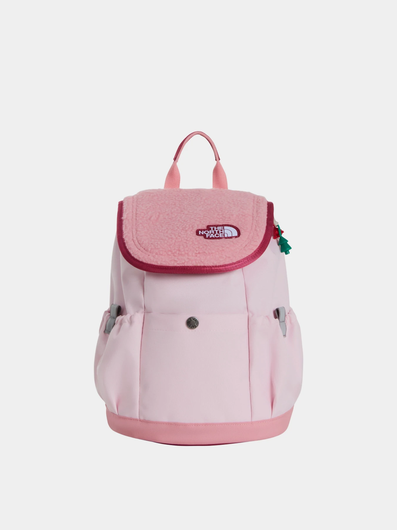 Рюкзаки The North Face Y MINI EXPLORER модель NF0A52VWZX21 Фото