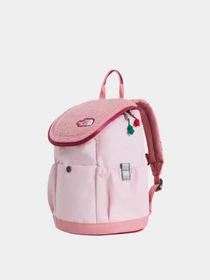 Рюкзаки The North Face Y MINI EXPLORER модель NF0A52VWZX21 Фото