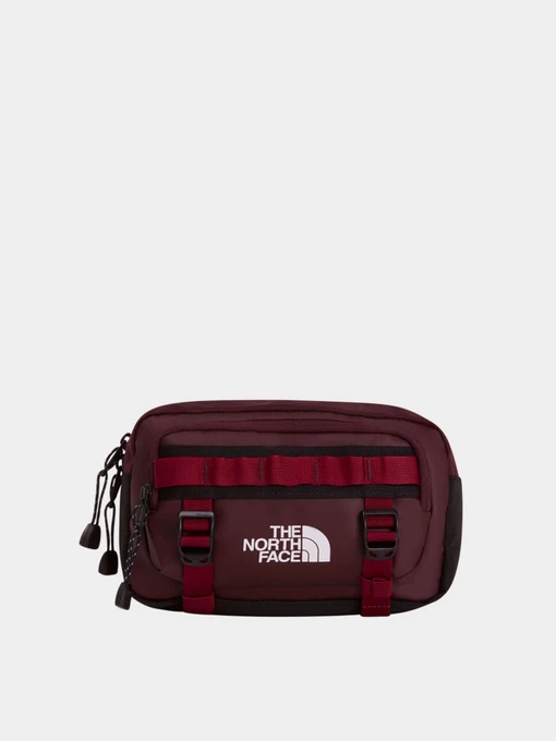 Сумки The North Face BASE CAMP LUMBAR модель NF0A8BK5ZQ51 Фото