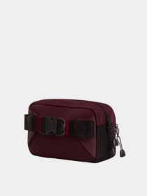 Сумки The North Face BASE CAMP LUMBAR модель NF0A8BK5ZQ51 Фото