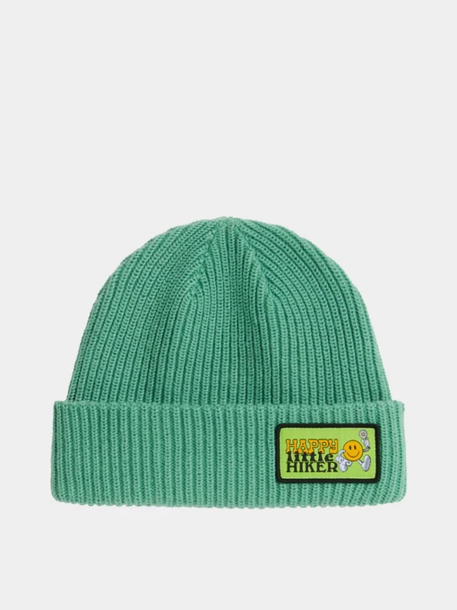 Шапки и кепки The North Face KIDS SALTY LINED BEANIE модель NF0A8CGSW9V1 Фото