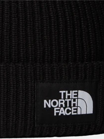 Шапки та кепки The North Face KIDS SALTY LINED BEANIE модель NF0A8CGSJK31 Фото
