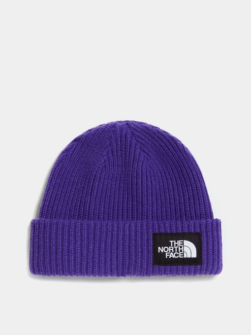 Шапки та кепки The North Face KIDS SALTY LINED BEANIE модель NF0A8CGSNL41 Фото