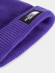 Шапки та кепки The North Face KIDS SALTY LINED BEANIE модель NF0A8CGSNL41 Фото