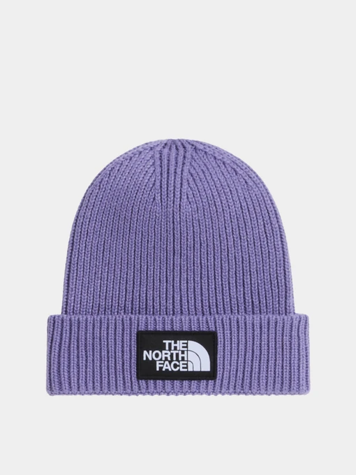 Шапки и кепки The North Face KIDS TNF LOGO BOX CUFFED BEANI модель NF0A8CGUNNK1 Фото