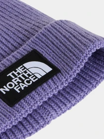Шапки и кепки The North Face KIDS TNF LOGO BOX CUFFED BEANI модель NF0A8CGUNNK1 Фото