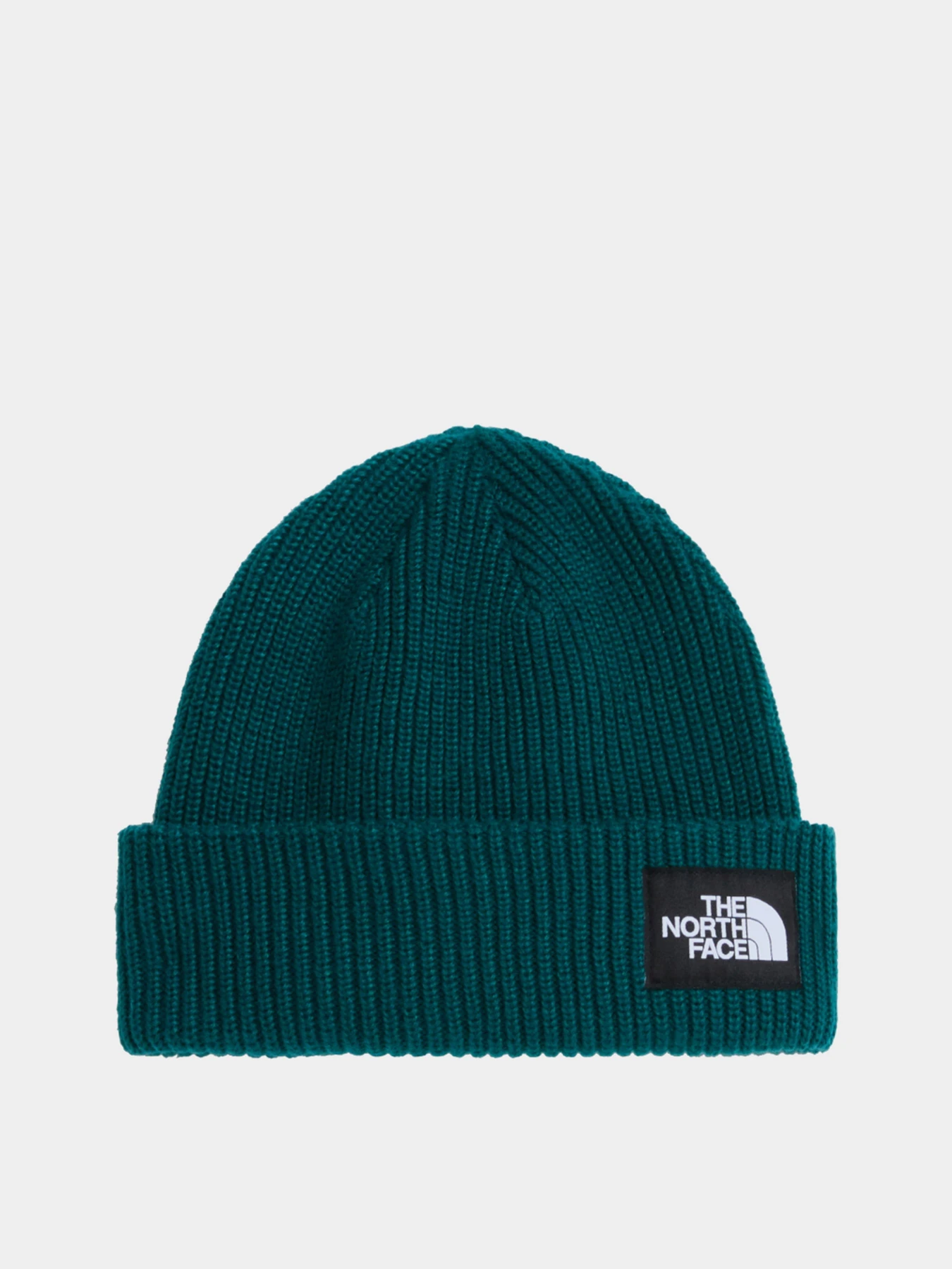 Шапки и кепки The North Face SALTY LINED BEANIE модель NF0A8CGZN4J1 Фото