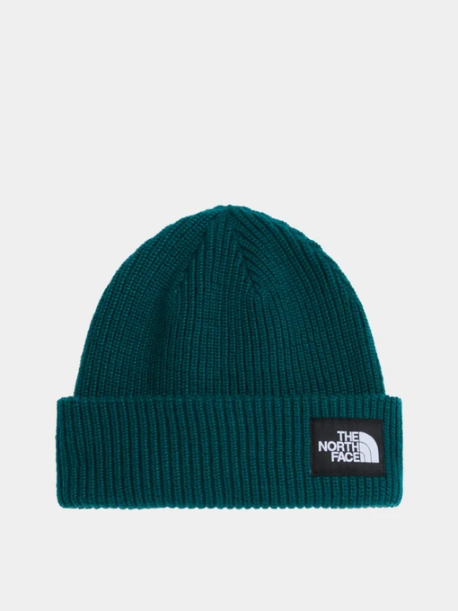 Шапки та кепки The North Face SALTY LINED BEANIE модель NF0A8CGZN4J1 Фото