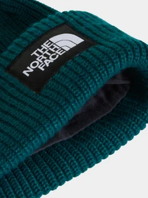 Шапки и кепки The North Face SALTY LINED BEANIE модель NF0A8CGZN4J1 Фото