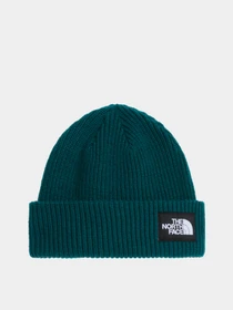Шапки и кепки The North Face SALTY LINED BEANIE модель NF0A8CGZN4J1 Фото