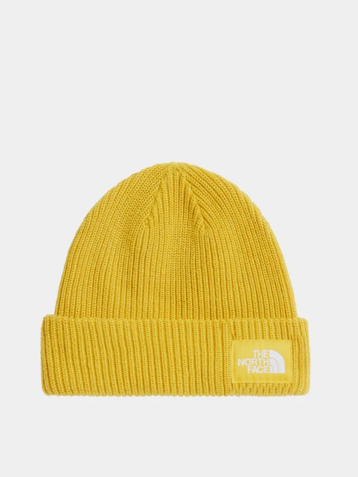 Шапки и кепки The North Face SALTY LINED BEANIE модель NF0A8CGZNO71 Фото