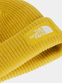 Шапки и кепки The North Face SALTY LINED BEANIE модель NF0A8CGZNO71 Фото