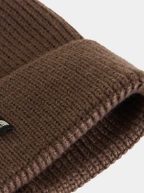 Шапки и кепки The North Face TNF MINI LOGO BOX BEANIE модель NF0A8HMF1OI1 Фото