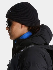Шапки и кепки The North Face TNF FISHERMAN BEANIE модель NF0A8HMPJK31 Фото