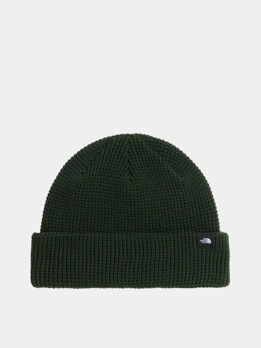 Шапки та кепки The North Face TNF FISHERMAN BEANIE модель NF0A8HMPNLW1 Фото