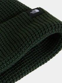 Шапки та кепки The North Face TNF FISHERMAN BEANIE модель NF0A8HMPNLW1 Фото
