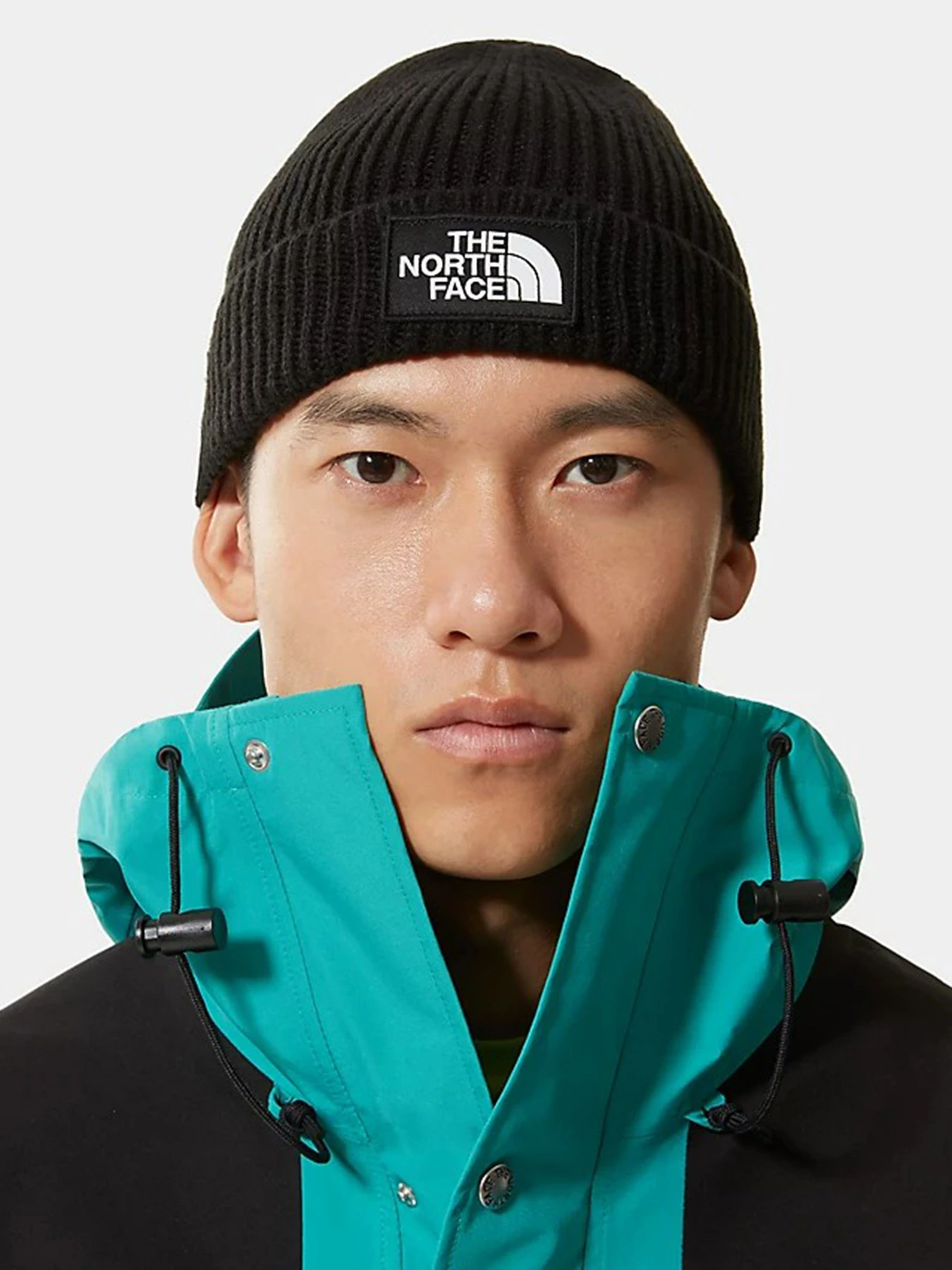 Шапки и кепки The North Face Logo Box Cuffed модель NF0A3FJXJK31 Фото