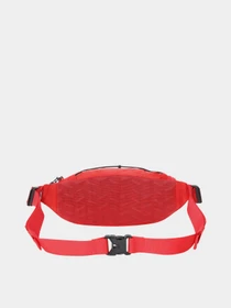 Сумки The North Face LUMBNICAL - S модель NF0A3S7ZYTF1 Фото