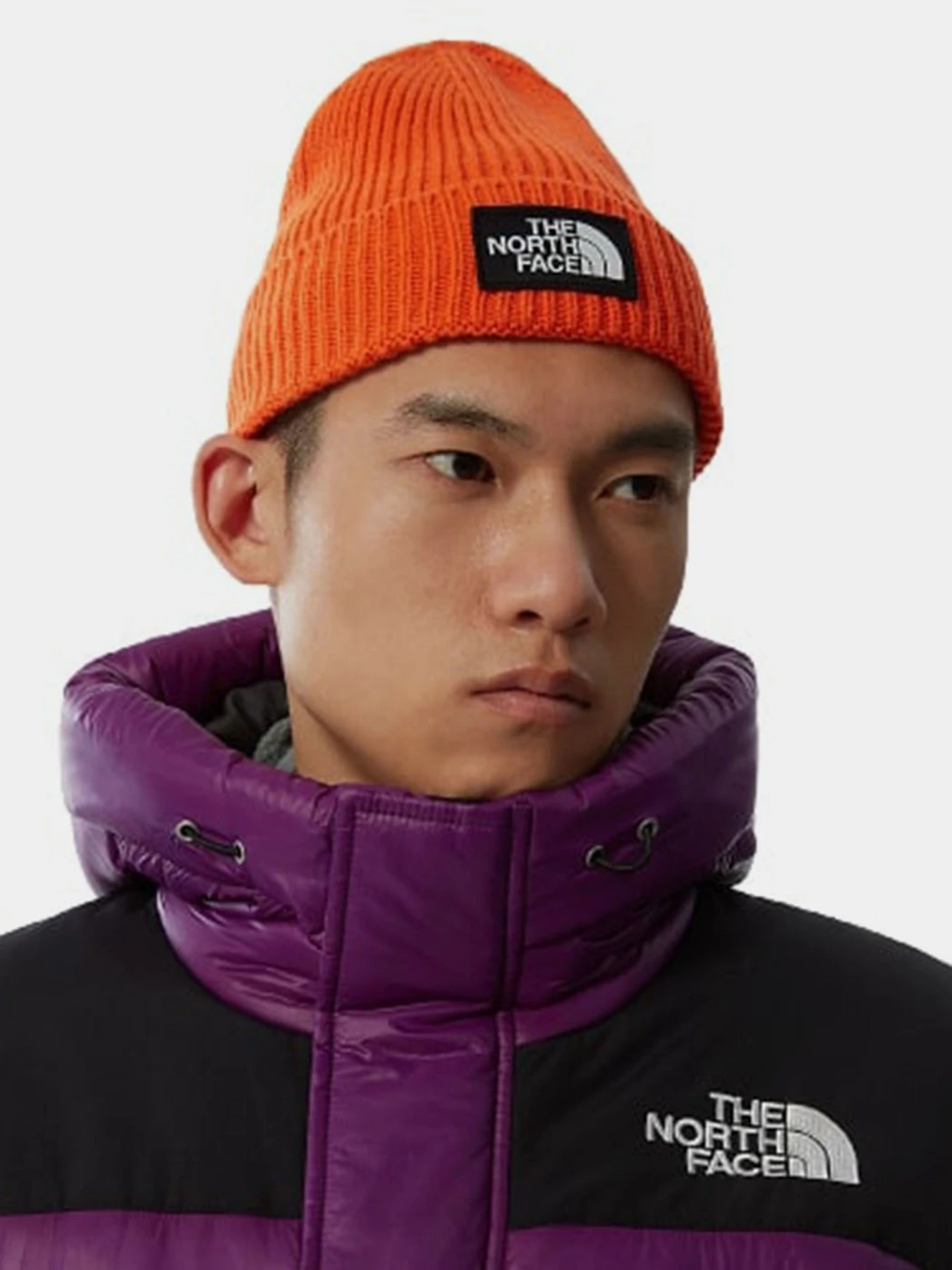 Шапки и кепки The North Face Logo Box Cuffed Beanie модель NF0A3FJXA6M1 Фото