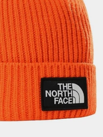 Шапки и кепки The North Face Logo Box Cuffed Beanie модель NF0A3FJXA6M1 Фото