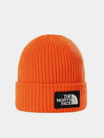 Шапки и кепки The North Face Logo Box Cuffed Beanie модель NF0A3FJXA6M1 Фото