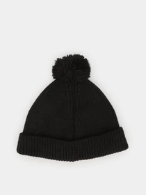 Шапки и кепки The North Face Littles Box Logo Pom Beanie модель NF0A4VSLJK31 Фото