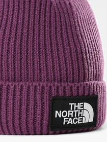Шапки та кепки The North Face Youth TNF™ Logo Box Cuffed Beanie модель NF0A3FMV0H51 Фото