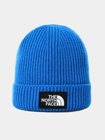 Шапки и кепки The North Face Youth TNF™ Logo Box Cuffed Beanie модель NF0A3FMVT4S1 Фото