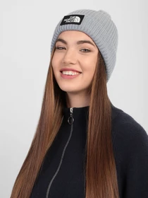 Шапки и кепки The North Face Logo Box Pom Beanie модель NF0A3FN3ZDK1 Фото