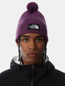 Шапки и кепки The North Face Logo Box Pom Beanie модель NF0A3FN30H51 Фото