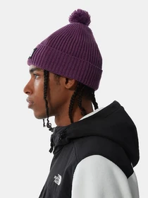Шапки и кепки The North Face Logo Box Pom Beanie модель NF0A3FN30H51 Фото