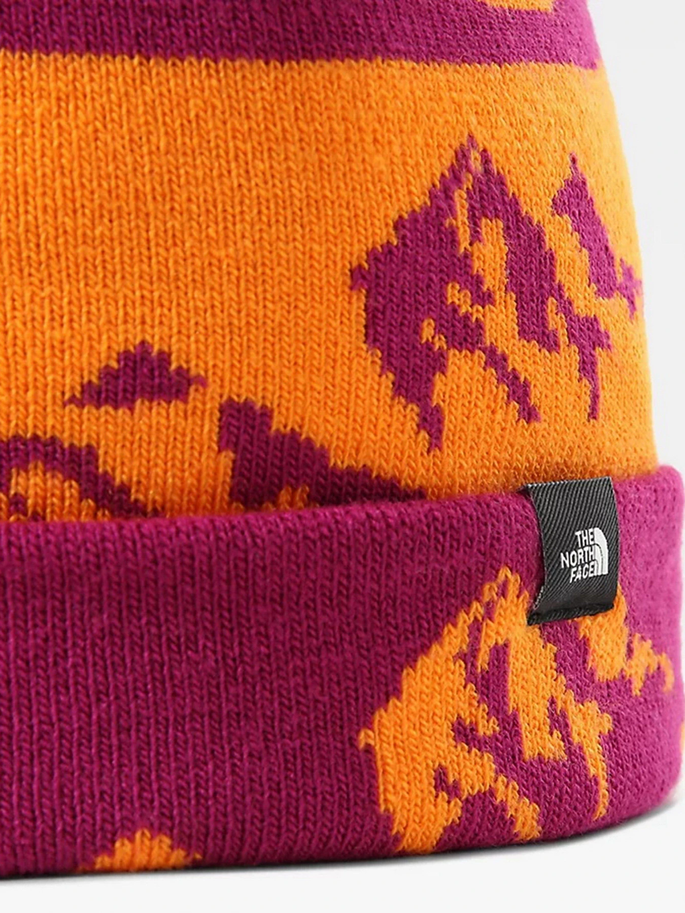 Шапки и кепки The North Face Ski Tuke модель NF0A4SIE0WY1 Фото