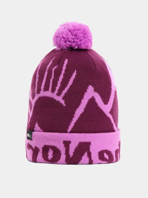 Шапки та кепки The North Face Kids' Ski Tuke Beanie модель NF0A4VSXEPK1 Фото
