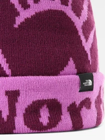 Шапки та кепки The North Face Kids' Ski Tuke Beanie модель NF0A4VSXEPK1 Фото