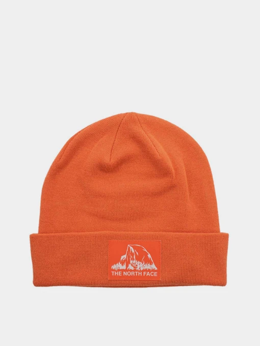 Шапки и кепки The North Face Dock Worker Recycled Beanie модель NF0A3FNTV3S1 Фото