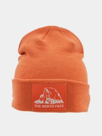 Шапки и кепки The North Face Dock Worker Recycled Beanie модель NF0A3FNTV3S1 Фото