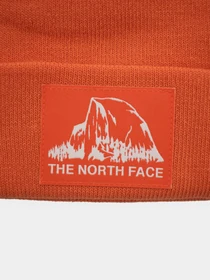 Шапки и кепки The North Face Dock Worker Recycled Beanie модель NF0A3FNTV3S1 Фото