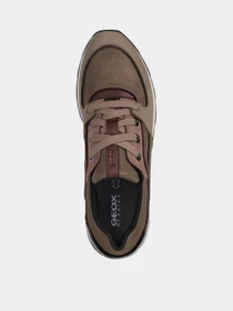 Кроссовки Geox New Aneko Abx модель D16LYC-03314-C5005 Фото