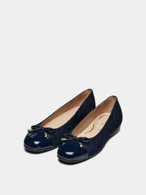 Туфли и лоферы Geox Annytah модель D467NB-021HH-C4002 Фото
