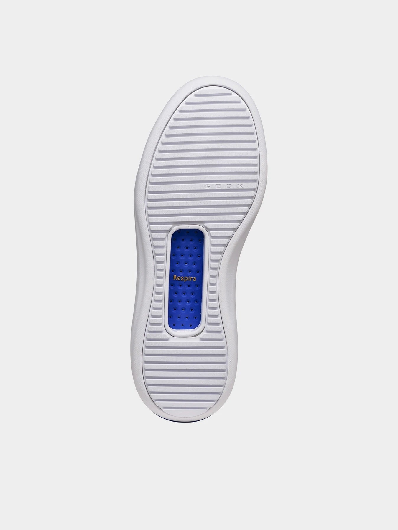 Кеды Geox GXCP-02 модель D65AJA-0T522-C1352 Кеды Geox GXCP-02 модель D65AJA-0T522-C1352 Фото