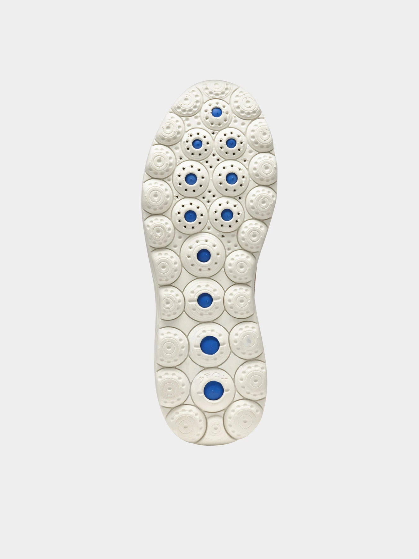 Кросівки Geox SPHERICA PLUS модель D557MA-06KBN-CH62L Кросівки Geox SPHERICA PLUS модель D557MA-06KBN-CH62L Фото