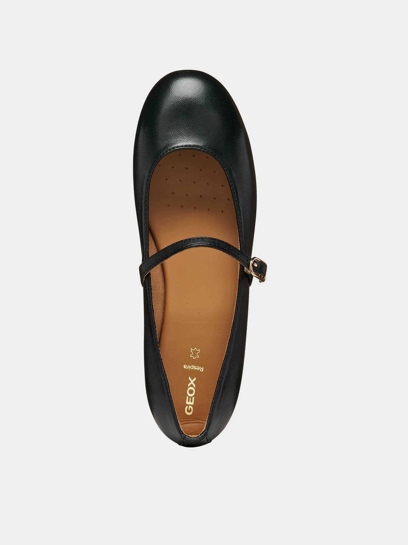 Туфли и лоферы Geox NEW PALMARIA модель D664JA-000TU-C9999 Фото