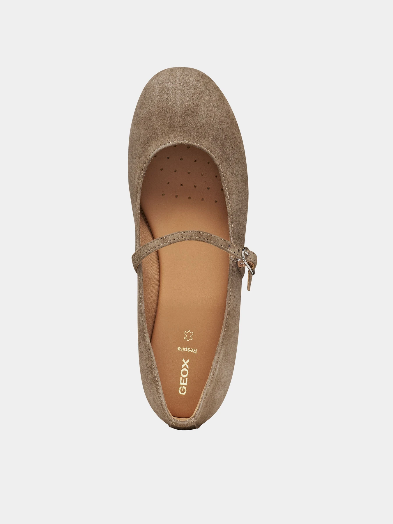 Туфли и лоферы Geox NEW PALMARIA модель D664JA-00021-C6029 Туфли и лоферы Geox NEW PALMARIA модель D664JA-00021-C6029 Фото
