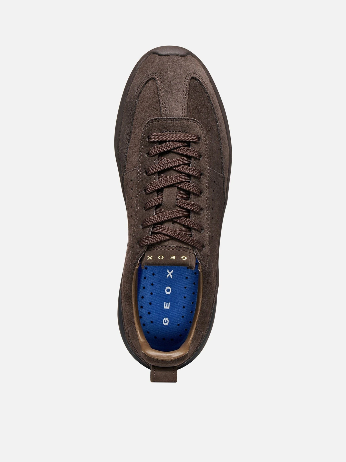 Кеды Geox GXRN-02 модель D659JA-02232-C6005 Кеды Geox GXRN-02 модель D659JA-02232-C6005 Фото