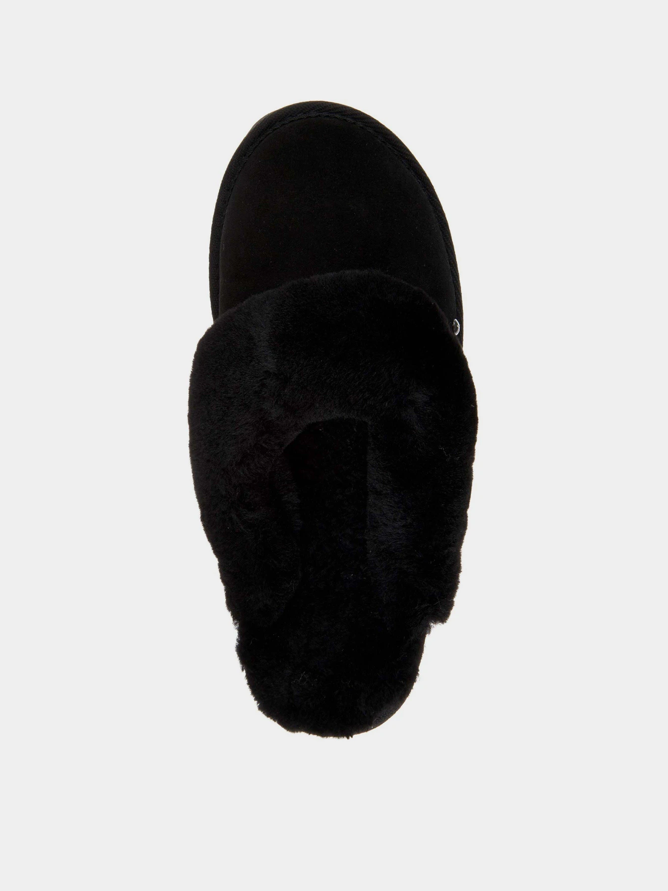 Тапки EMU модель W10015-black Тапки EMU модель W10015-black Фото