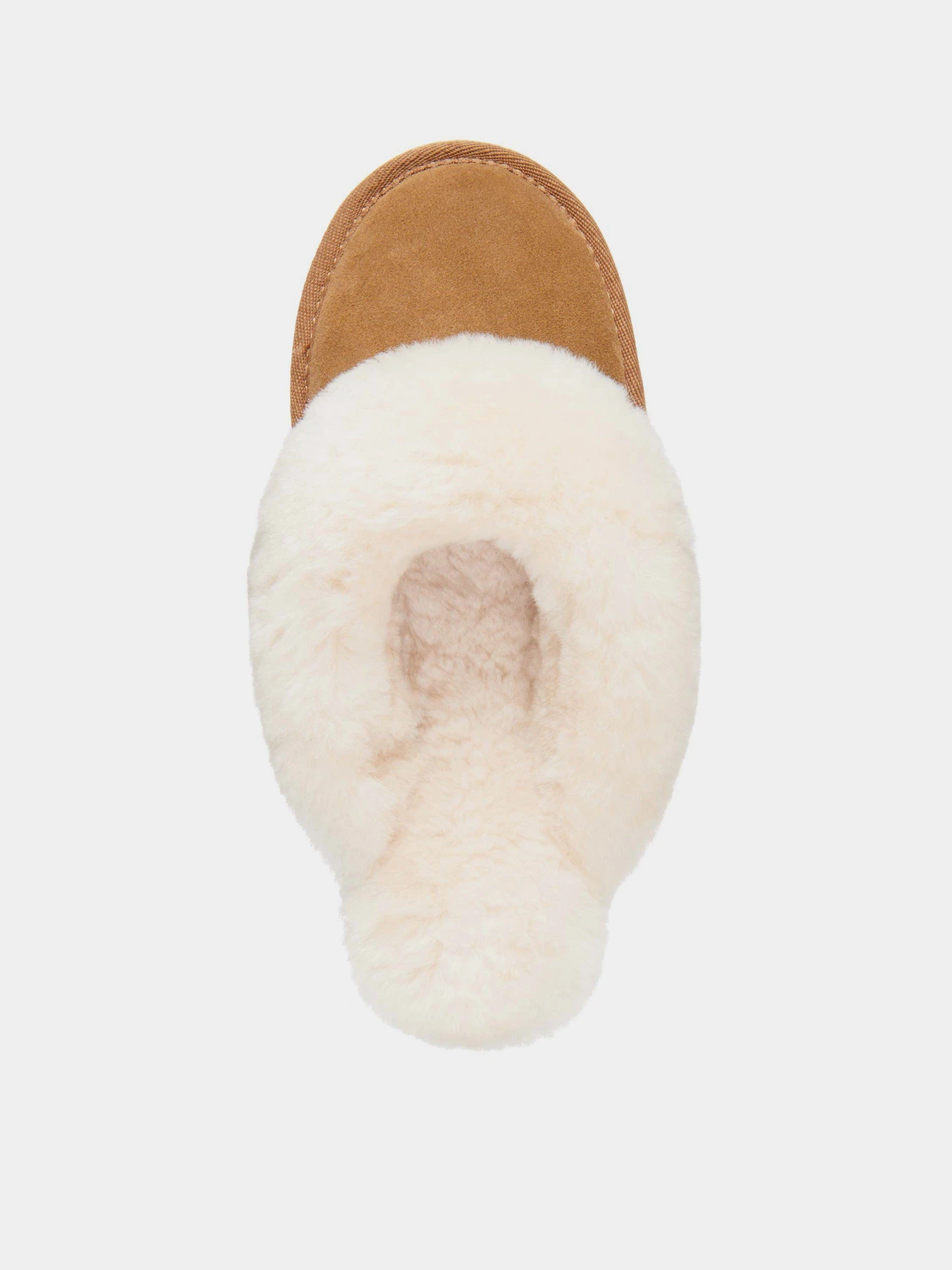 Капці EMU модель W10015-chestnut Капці EMU модель W10015-chestnut Фото
