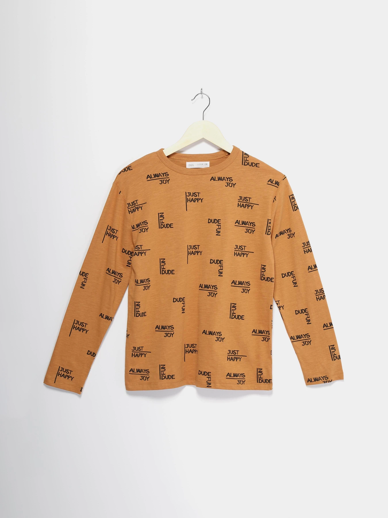 Худі та світшоти ZARA модель 1887/765/5113_комб. Худі та світшоти ZARA модель 1887/765/5113_комб. Фото