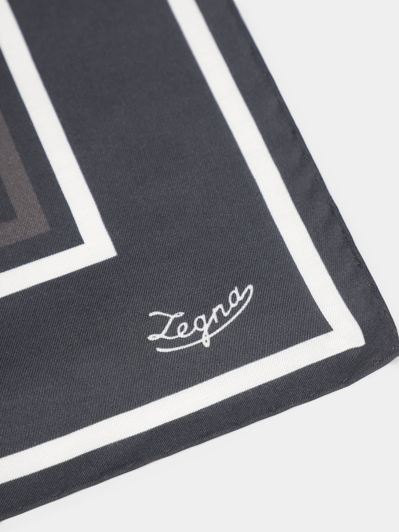 Шарфы и платки Zegna модель AC309308_Чорний Фото