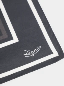 Шарфы и платки Zegna модель AC309308_Чорний Фото