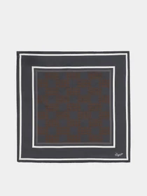 Шарфы и платки Zegna модель AC309308_Чорний Фото